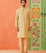 Fawn embroidered kurtas