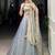 Artistic Sky Blue Thread Embroidered Organza Lehenga Choli