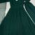 Green Georgette Anarkali Suit Set