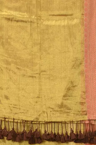 Golden glow tissue saree