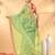Sea green golden glow tissue saree