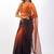 orange and black Organza shading print saree