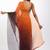 orange and black Organza shading print saree