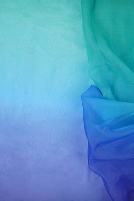 Sea green Organza dual color shading print saree 4