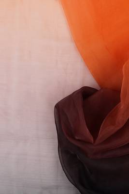 orange and black Organza shading print saree 4