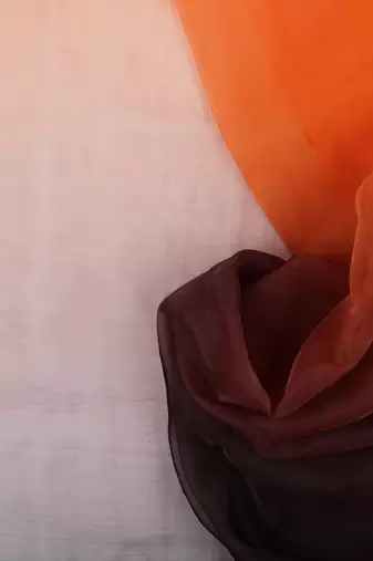 orange and black Organza shading print saree