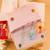 Bhaiya bhabhi rakhi combo with bhabhi gift