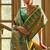 Pear Banarasi silk blend Contrast Copper Zari Weaving Saree 