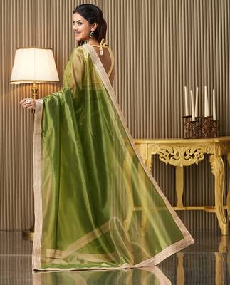 Green net fancy party saree 2