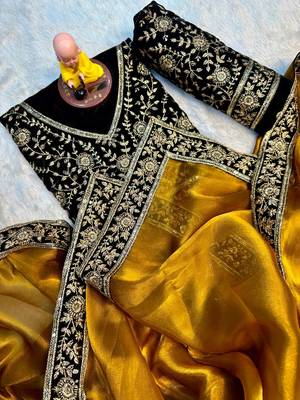 Premium jimmy choo with velvet embroidered lace border saree with blouse 1