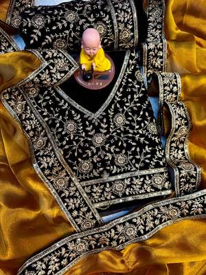 Premium jimmy choo with velvet embroidered lace border saree with blouse 2