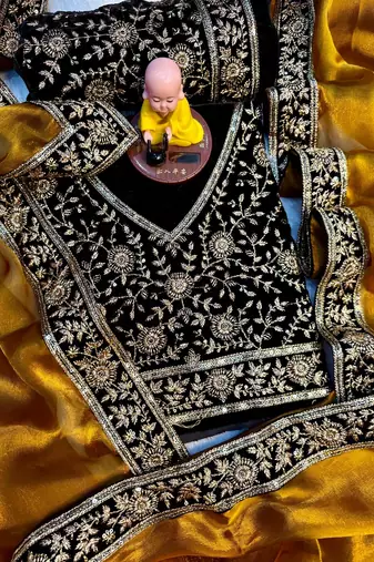 Premium jimmy choo with velvet embroidered lace border saree with blouse