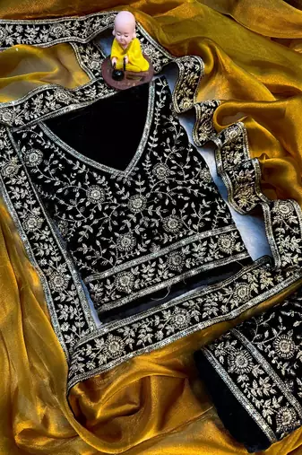 Premium jimmy choo with velvet embroidered lace border saree with blouse