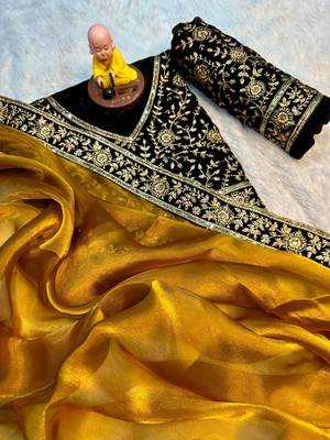 Premium jimmy choo with velvet embroidered lace border saree with blouse 4