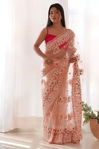 Peach butterfly net with chain stitch embroidered work saree with blouse