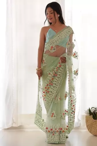 Pista butterfly net with chain stitch embroidered work saree with blouse