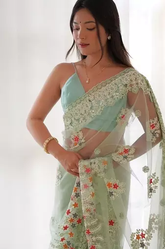 Pista butterfly net with chain stitch embroidered work saree with blouse