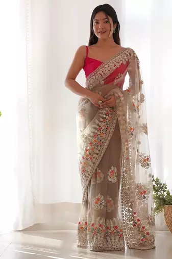 Beige butterfly net with chain stitch embroidered work saree with blouse