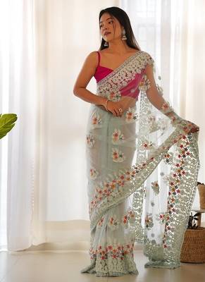 Skyblue butterfly net with chain stitch embroidered work saree with blouse 2
