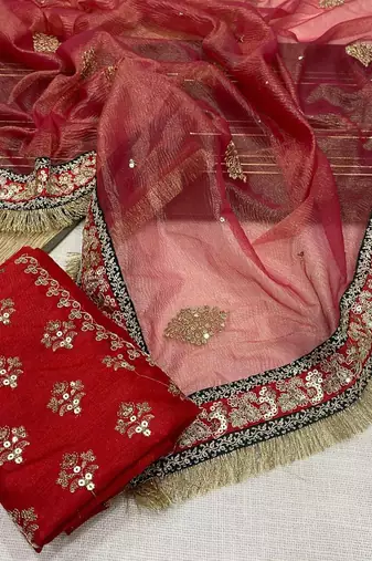 red Crush Fabric Multi Thread Sequins Embroidered saree