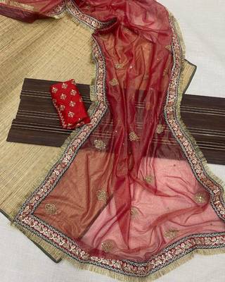 red Crush Fabric Multi Thread Sequins Embroidered saree 3
