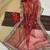 red Crush Fabric Multi Thread Sequins Embroidered saree