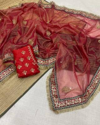 red Crush Fabric Multi Thread Sequins Embroidered saree 4