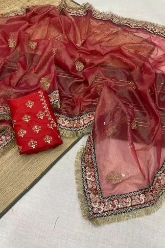 red Crush Fabric Multi Thread Sequins Embroidered saree
