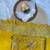yellow Gold crush embroidered multi thread work saree