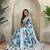 Blue Organza All Over Digital Print Saree