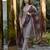 Women's Beautiful Vatican Straight Kurta with Pant And Dupatta Set