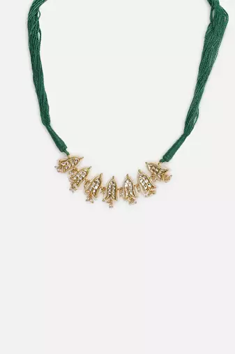 Sabz-e-roshni chokar