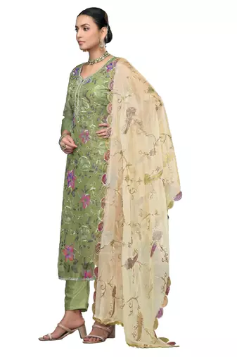 Women's light green embroidered viscose organza dress material