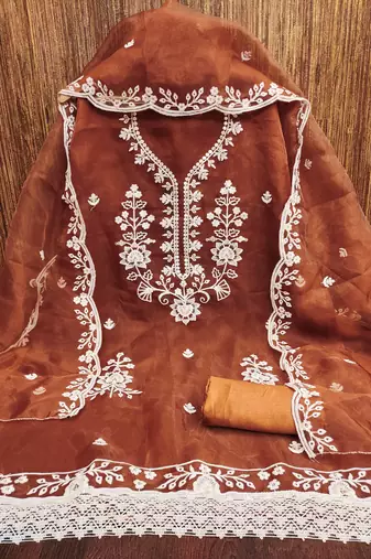 Women's rust embroidered organza dress material