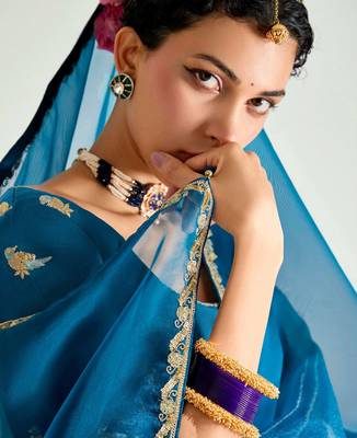 deep blue organza border work saree 2