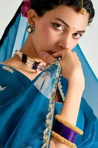 deep blue organza border work saree