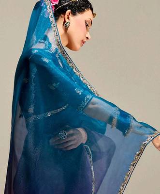deep blue organza border work saree 4