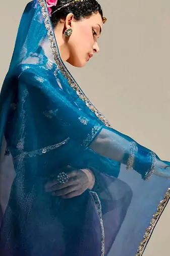 deep blue organza border work saree
