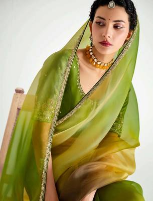 green organza border work saree with blouse 2
