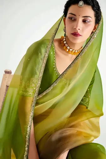 green organza border work saree with blouse