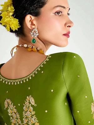 green organza border work saree with blouse 3