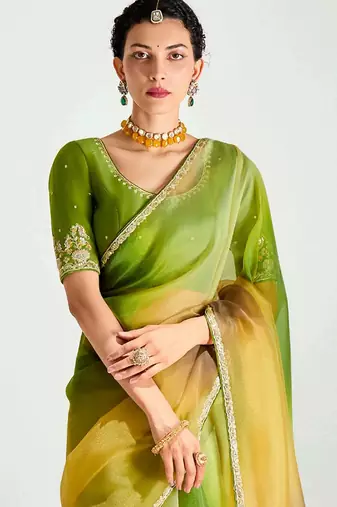 green organza border work saree with blouse