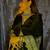 Gold kundan