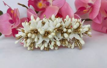 Designer pollens hair clip 1
