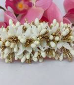 Designer pollens hair clip