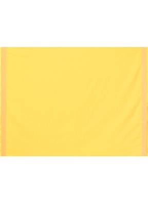 cotton handloom yellow sequin saree with blouse piece 5