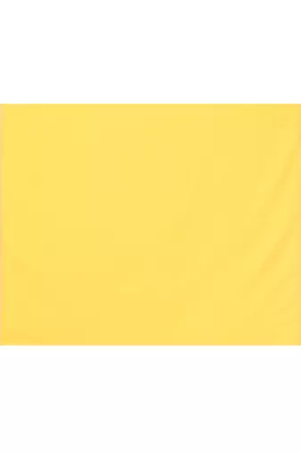 cotton handloom yellow sequin saree with blouse piece
