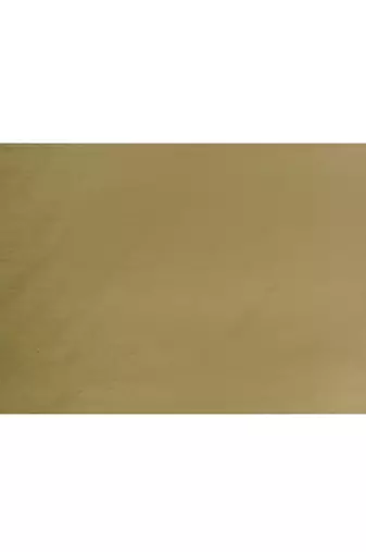 cotton silk moss green handloom saree with blouse piece