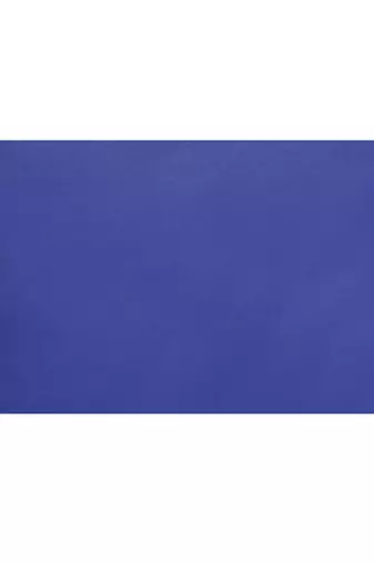 cotton silk royel blue handloom saree with blouse piece