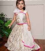 Cream embroidered georgette lehenga